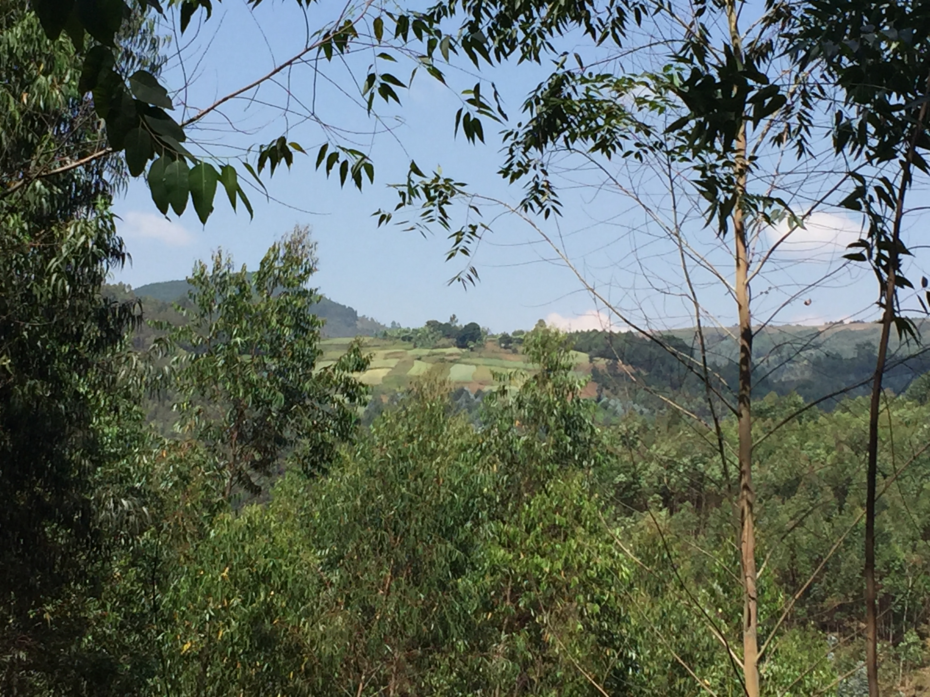 Il paesaggio nella zona di Kirundo in Burundi.